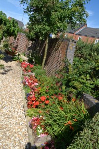 front-garden-2