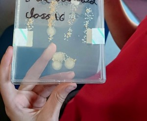 11102633_10155565507335013_1430379455263509928_n