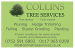 Collins Trees